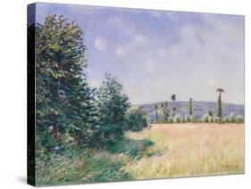 Sahurs Meadows in Morning Sun, 1894-Alfred Sisley-Stretched Canvas