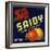 Saidy Brand - Holtville, California - Citrus Crate Label-Lantern Press-Framed Art Print