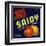 Saidy Brand - Holtville, California - Citrus Crate Label-Lantern Press-Framed Art Print