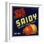 Saidy Brand - Holtville, California - Citrus Crate Label-Lantern Press-Framed Art Print