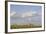 Saiga Antelope (Saiga Tatarica) Herd at Salt Lick, Cherniye Zemli(Black Earth) Nr, Kalmykia, Russia-Shpilenok-Framed Photographic Print