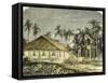 Saigon Rue De Gouvernement Vietnam 19th Century-null-Framed Stretched Canvas