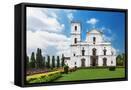 Framed Canvas