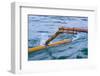 Sail across a Calm Sea-Fadil Aziz/Alcibbum Photography-Framed Photographic Print