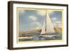 Sail and Motor Boats on Lake Mead-null-Framed Art Print