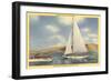 Sail and Motor Boats on Lake Mead-null-Framed Art Print