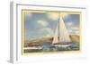 Sail and Motor Boats on Lake Mead-null-Framed Art Print