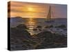 Sail Boat at Napa Tree Pt.-Bruce Dumas-Stretched Canvas