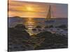 Sail Boat at Napa Tree Pt.-Bruce Dumas-Stretched Canvas