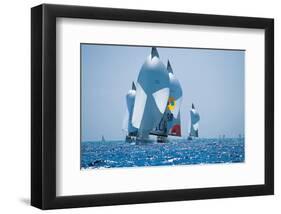 Sail Boat Race-null-Framed Art Print