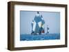 Sail Boat Race-null-Framed Art Print