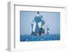 Sail Boat Race-null-Framed Art Print