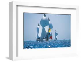 Sail Boat Race-null-Framed Art Print