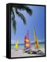 Sail Boats on Chaweng Beach, East Coast, Koh Samui (Ko Samui), Thailand-Robert Francis-Framed Stretched Canvas