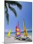 Sail Boats on Chaweng Beach, East Coast, Koh Samui (Ko Samui), Thailand-Robert Francis-Mounted Photographic Print