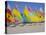 Sail Boats on the Beach, St. James Club, Antigua, Caribbean, West Indies, Central America-J Lightfoot-Stretched Canvas