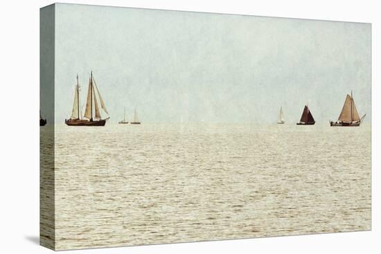 Sail Boats-Kathy Mansfield-Stretched Canvas