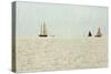 Sail Boats-Kathy Mansfield-Stretched Canvas