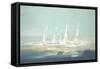 Sail Day II-Lisa Ridgers-Framed Stretched Canvas