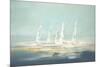 Sail Day II-Lisa Ridgers-Mounted Art Print