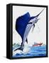 Sail Fish-null-Framed Stretched Canvas