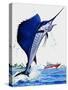 Sail Fish-null-Stretched Canvas