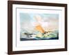 Sail in the Storm-Fioravanti-Framed Limited Edition