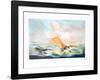 Sail in the Storm-Fioravanti-Framed Limited Edition