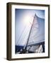 Sail of the Yacht Fluttering in the Wind, Summer Adventure, Sea Cruise on Sailboat, Yachting Sport,-Anna Omelchenko-Framed Photographic Print