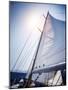 Sail of the Yacht Fluttering in the Wind, Summer Adventure, Sea Cruise on Sailboat, Yachting Sport,-Anna Omelchenko-Mounted Photographic Print