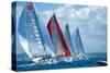 Sail Regatta-null-Stretched Canvas