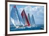 Sail Regatta-null-Framed Art Print