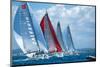 Sail Regatta-null-Mounted Art Print