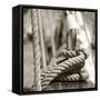 Sail Rope-null-Framed Stretched Canvas