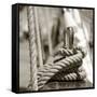 Sail Rope-null-Framed Stretched Canvas
