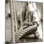 Sail Rope-null-Mounted Premium Photographic Print