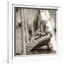 Sail Rope-null-Framed Photographic Print