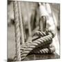 Sail Rope-null-Mounted Photographic Print
