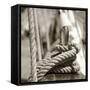 Sail Rope-PhotoINC Studio-Framed Stretched Canvas