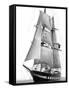 Sail Training Ship Royalist, March 1976-null-Framed Stretched Canvas