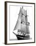 Sail Training Ship Royalist, March 1976-null-Framed Photographic Print