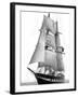 Sail Training Ship Royalist, March 1976-null-Framed Photographic Print