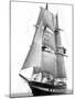 Sail Training Ship Royalist, March 1976-null-Mounted Photographic Print