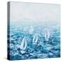 Sail With Me-Ann Marie Coolick-Stretched Canvas