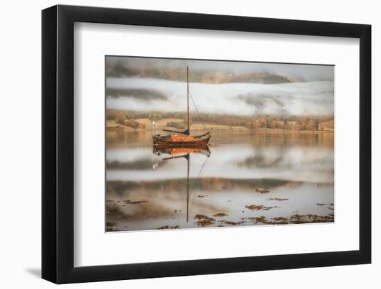 Sail-Adrian Popan-Framed Photographic Print