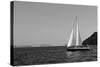 Sailboat Aegean Sea Santorini Greece-null-Stretched Canvas