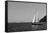 Sailboat Aegean Sea Santorini Greece-null-Framed Stretched Canvas