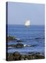 Sailboat Along The Coast, Kennebunkport, Maine, USA-Lisa S. Engelbrecht-Stretched Canvas
