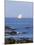 Sailboat Along The Coast, Kennebunkport, Maine, USA-Lisa S. Engelbrecht-Mounted Photographic Print