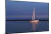 Sailboat And Seagulls At Dusk-Anthony Paladino-Mounted Giclee Print